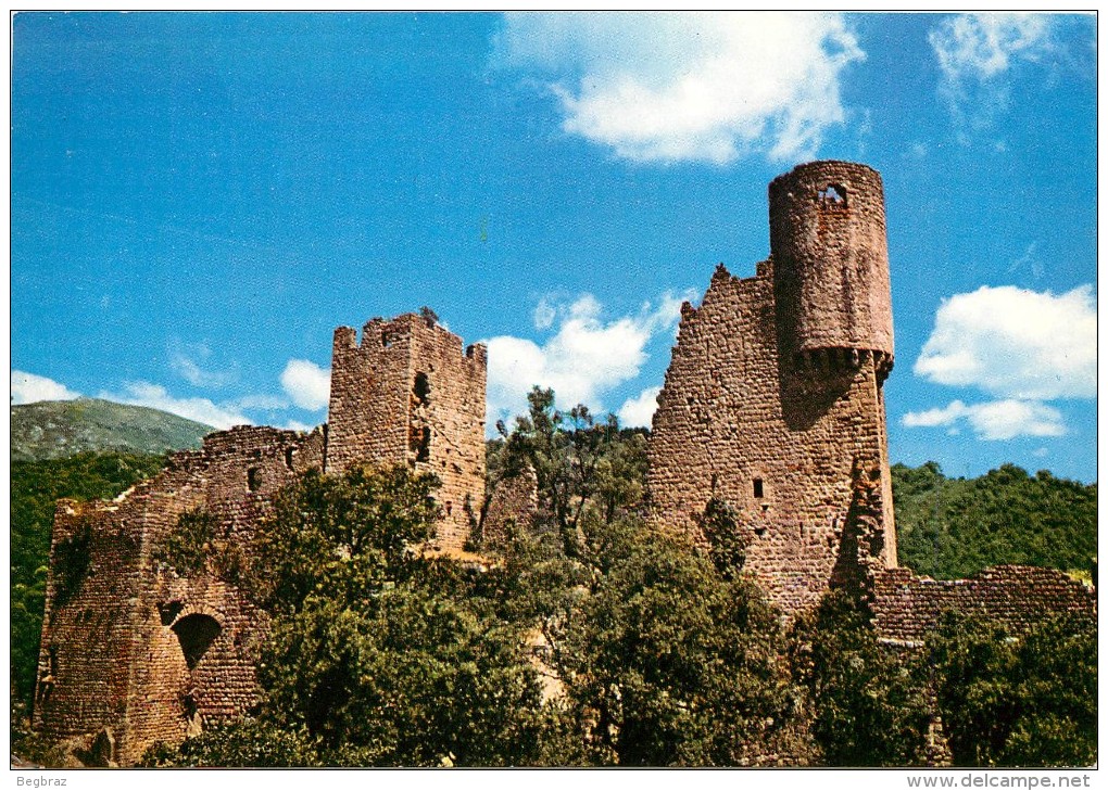 couleur horiz (24).jpg